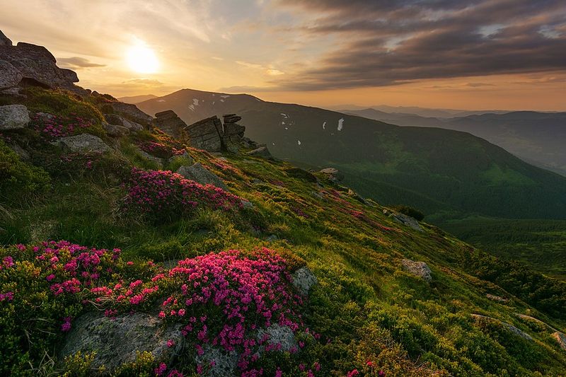 The Carpathians (Eastern Europe)