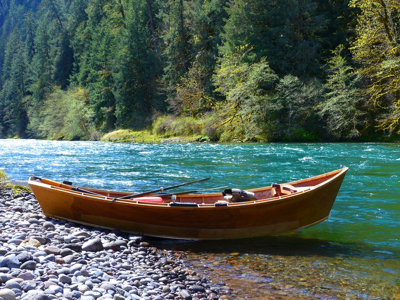Eco-Conscious Travel and Conservation Efforts