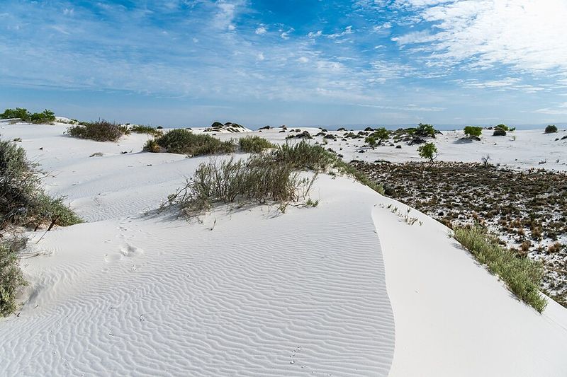 Dune Life Nature Trail