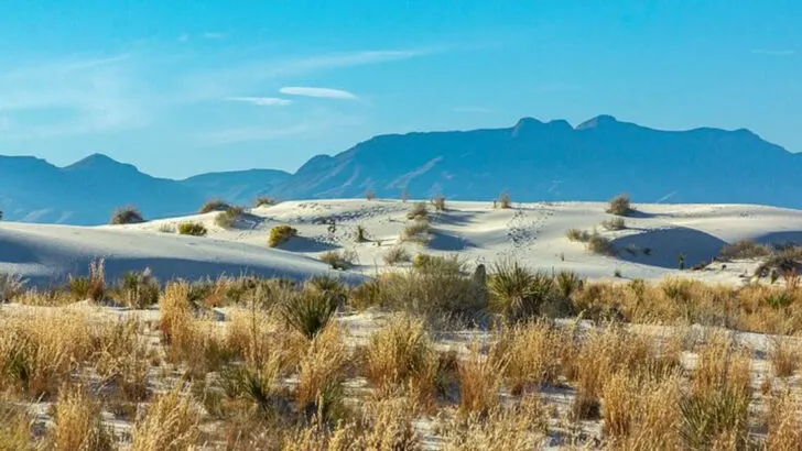 The “Sahara of America” Might Be the Most Surreal National Monument in the Desert