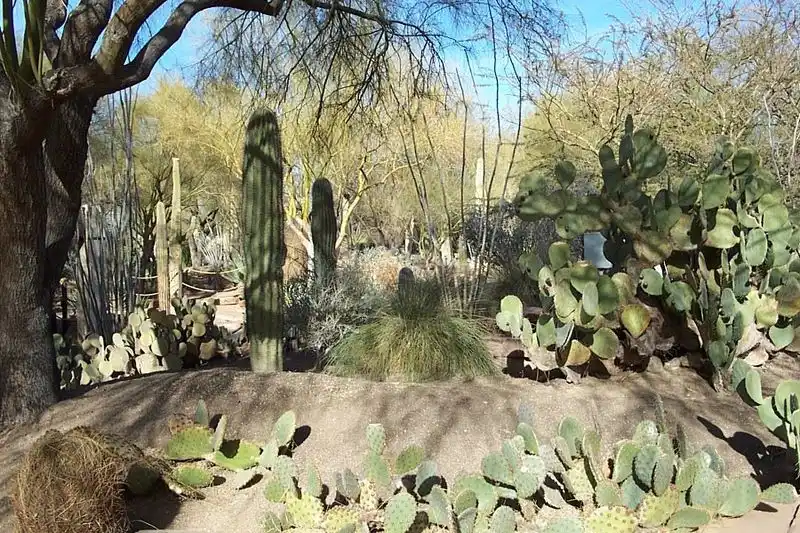 Ethel M Chocolate Factory & Cactus Garden