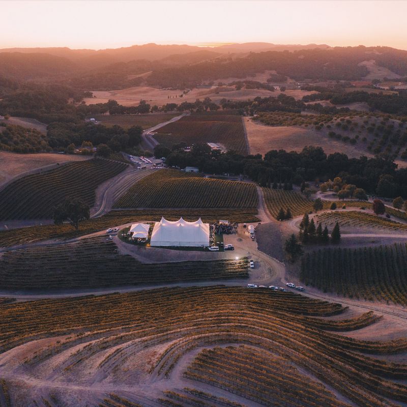 Rolling Vineyards and the Landscape
