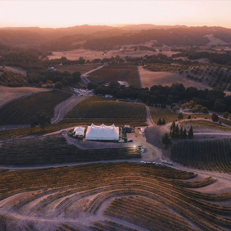 Rolling Vineyards and the Landscape