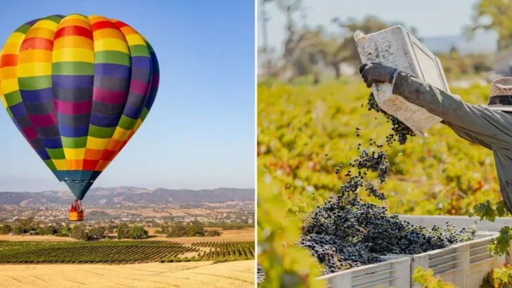 The “Tuscany of the Pacific” Might Be One of California’s Best-Kept Secrets