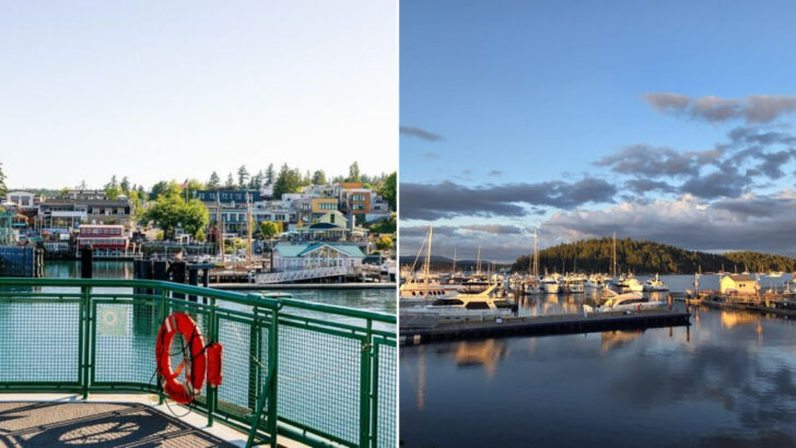 The Washington Island Town That Refuses to Let the Mainland Rush In: Friday Harbor, Washington