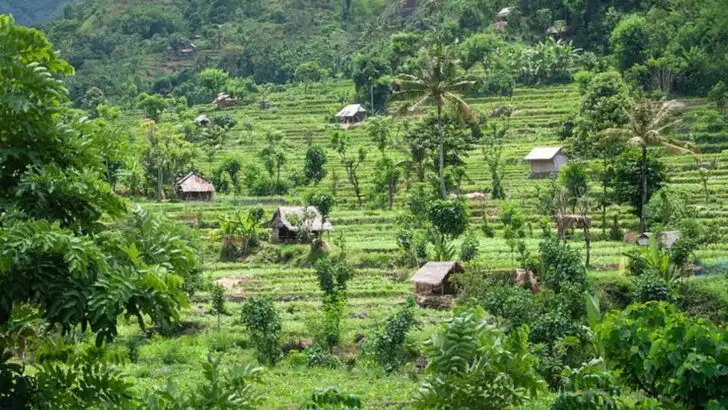 Thinking Beyond Borders? These Places Abroad Are Showing Americans a Different Kind of Freedom