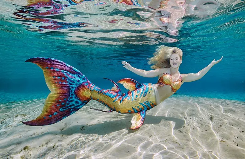 The Mermaids of Weeki Wachee