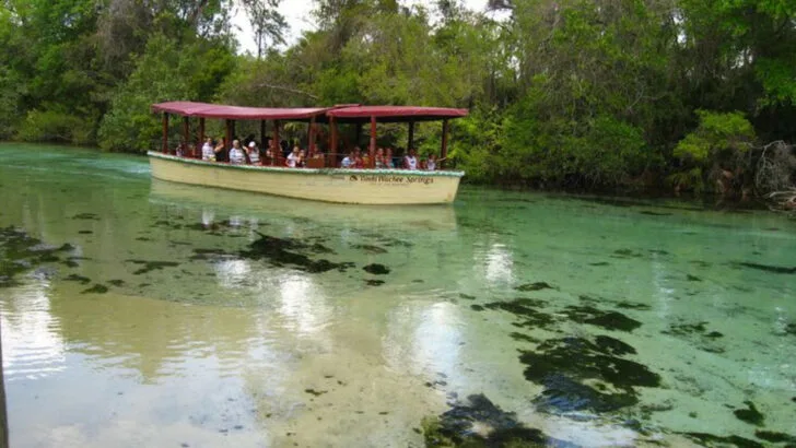 This Ancient Spring in Florida Has Been Bubbling for Thousands of Years