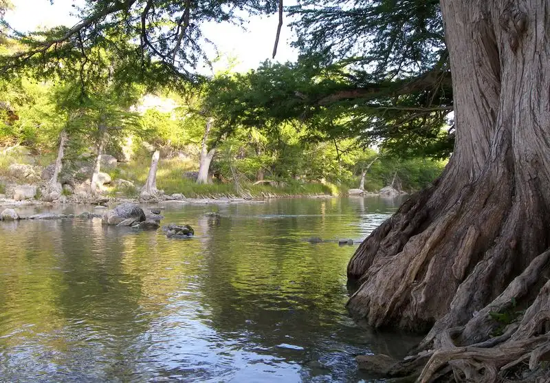 Guadalupe River