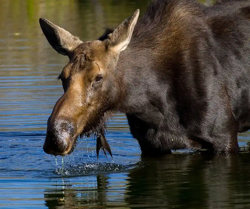 Grand Teton National Park Trails