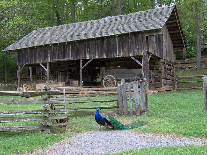 Museum of Appalachia