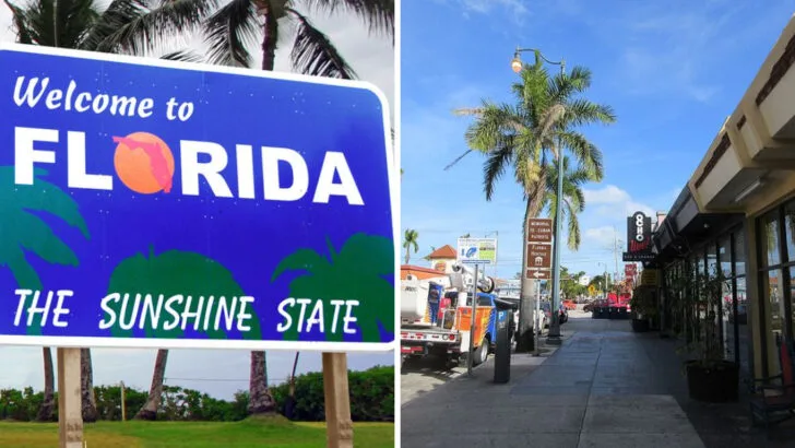 Tourists Share The Funniest Mistakes They Made Visiting Florida