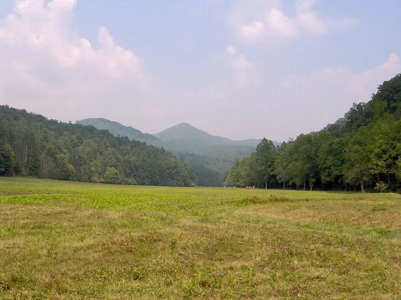 Cataloochee Valley