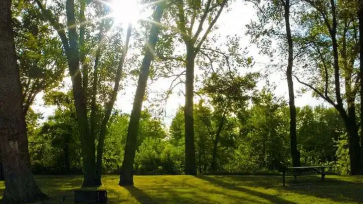 Tucked Away in Pennsylvania Is a Park Made for Solitude Seekers