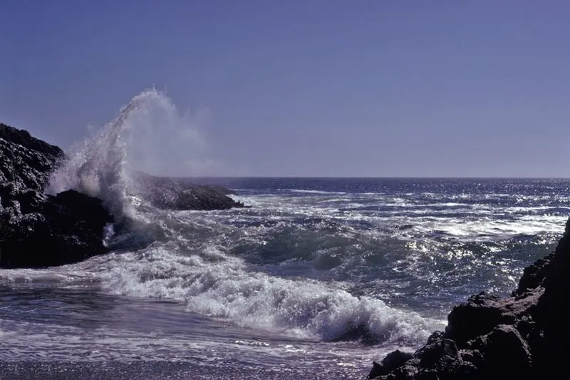 Sonoma Coast, California