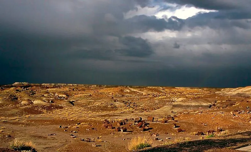 Petrified Forest National Park, Arizona