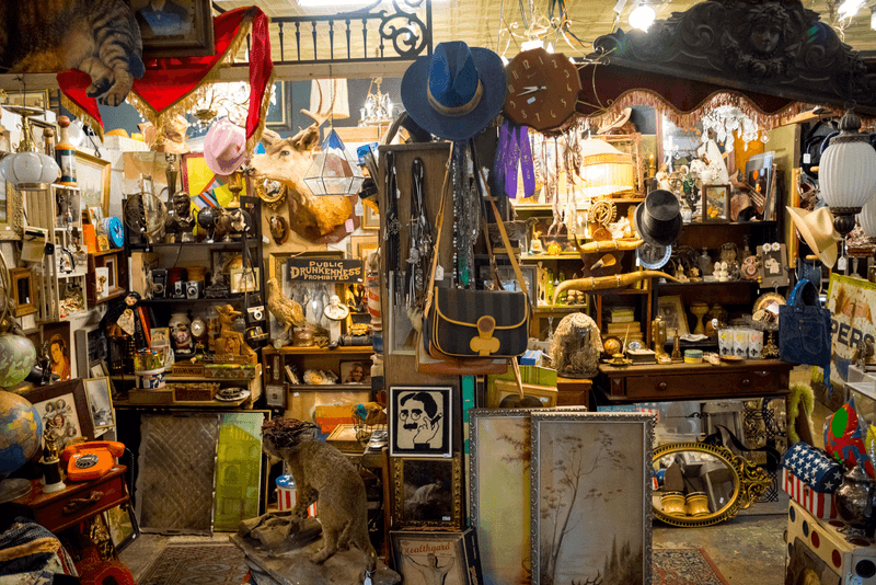 Dolly Python – Dallas-Fort Worth