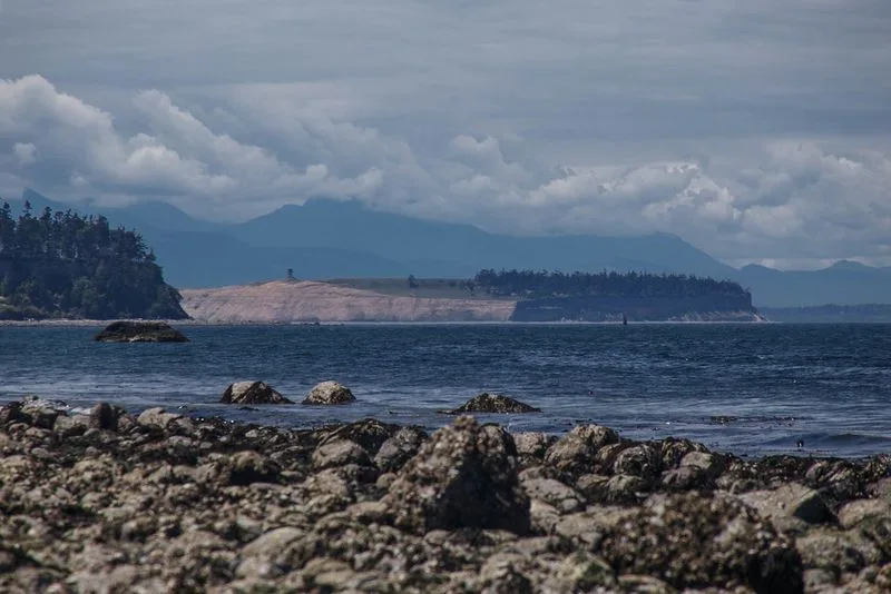 Protection Island, Washington
