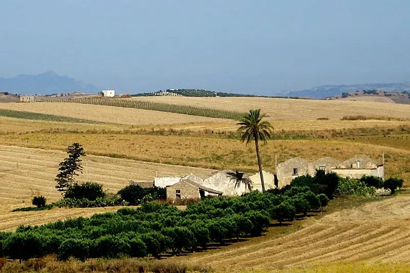 Sicilian Countryside