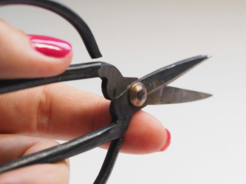 Multi-Purpose Travel Scissors