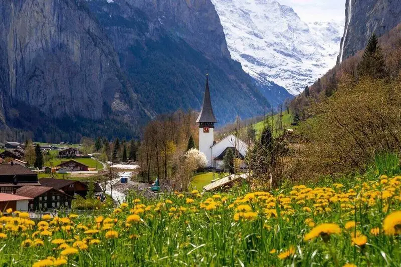 Alpine Wildflower Walks