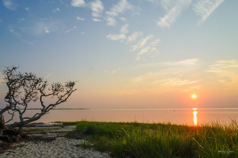 North Carolina