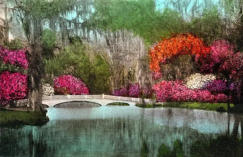 Tour Magnolia Plantation and Gardens