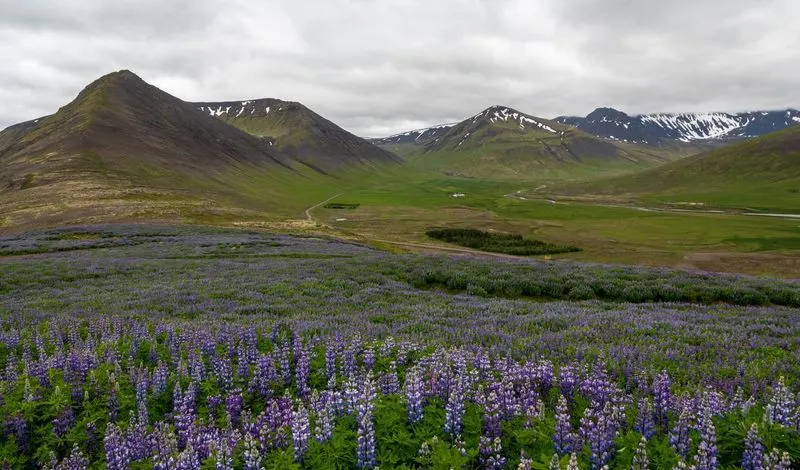 Discover the Westfjords
