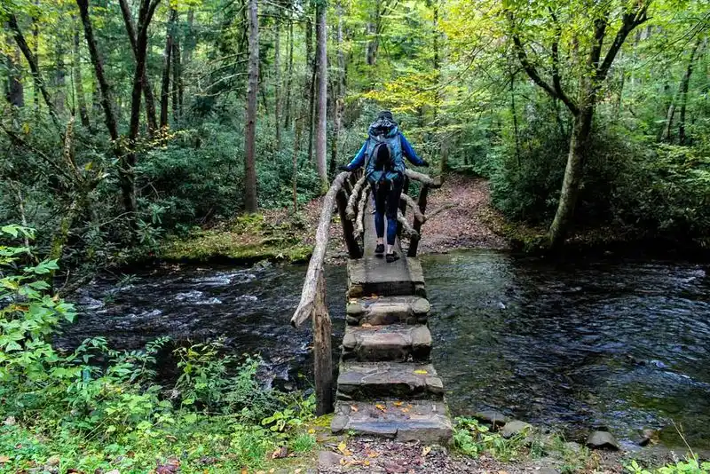 Explore Great Smoky Mountains National Park