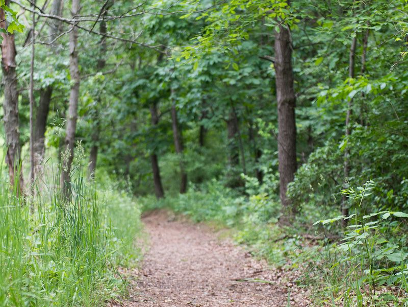 Hike the Trails