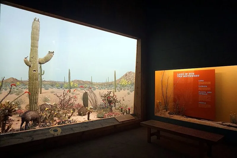 Enrolling in Art or Writing Retreats Across the Southwest