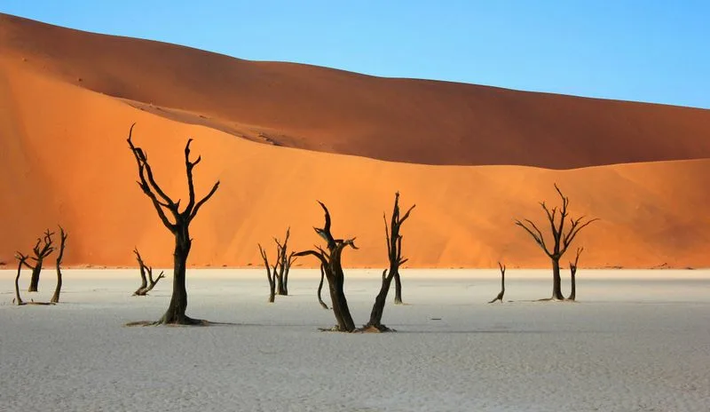 Namib Desert, Namibia
