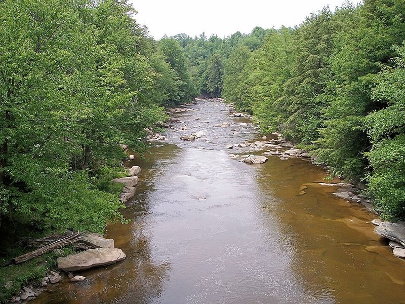 West Virginia – Blackwater Falls State Park