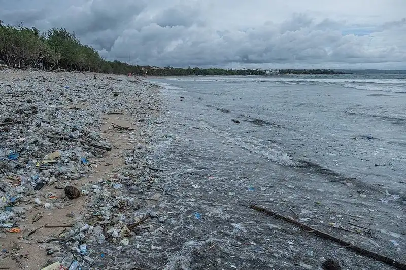 Waste Management Can’t Keep Up