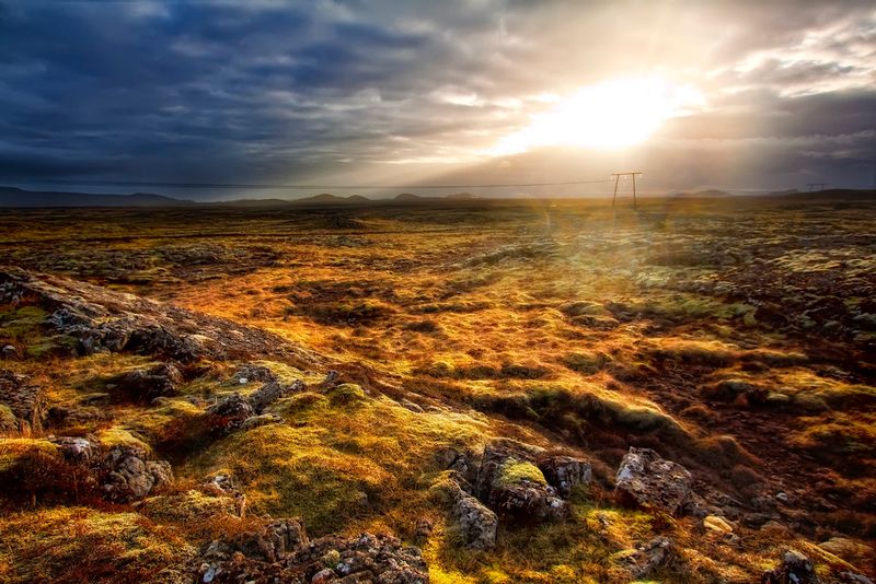 Explore Lava Fields