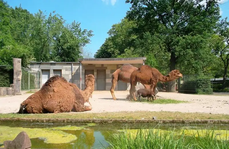 Berlin Zoo