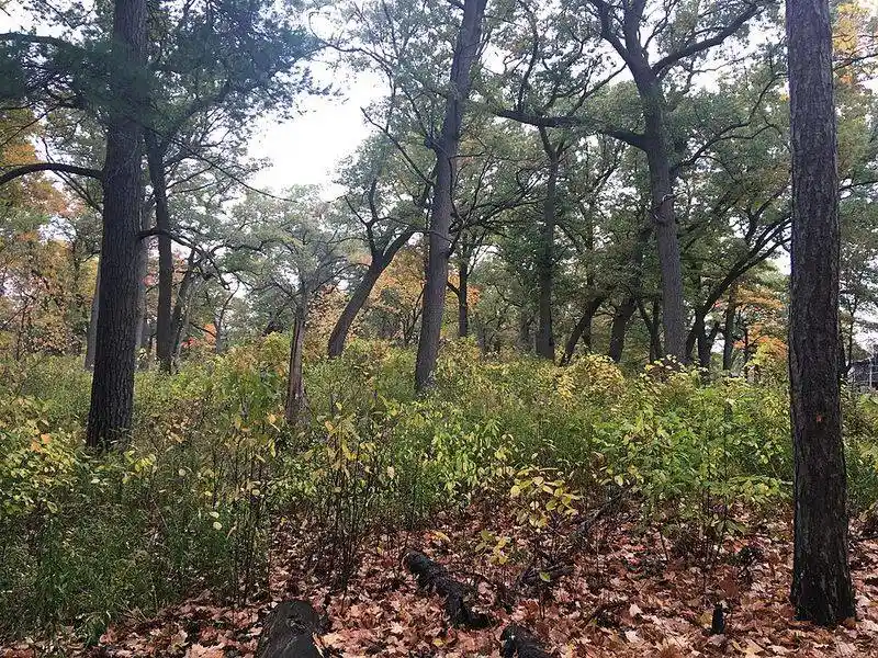 Cooler Temperatures for Walking Tours