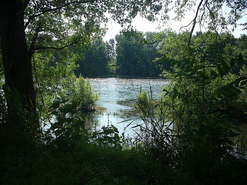 Moments & Seasons When Solitude Is Deepest