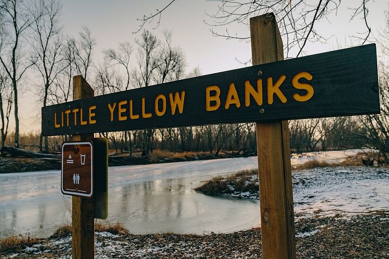 Why It Works: Unique Appeal