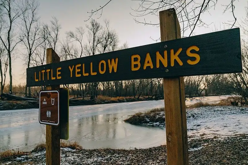 Why It Works: Unique Appeal