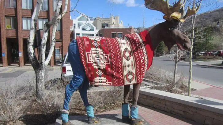 Where U.S. Families Are Heading Instead of the Big Theme Parks