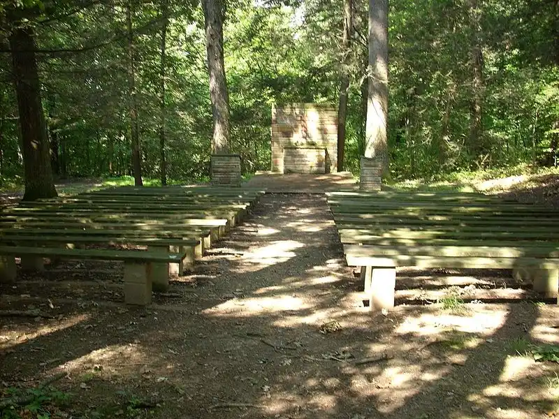 History: More Than Just Trees and River
