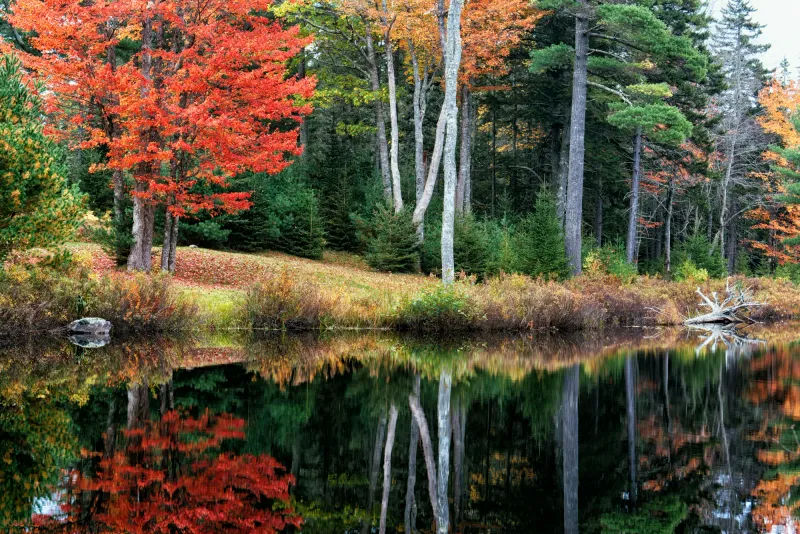 Acadia National Park, Maine