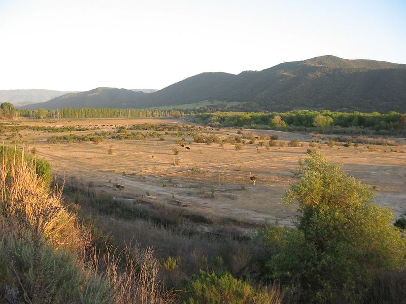 Hidden Charms and Must-See Features