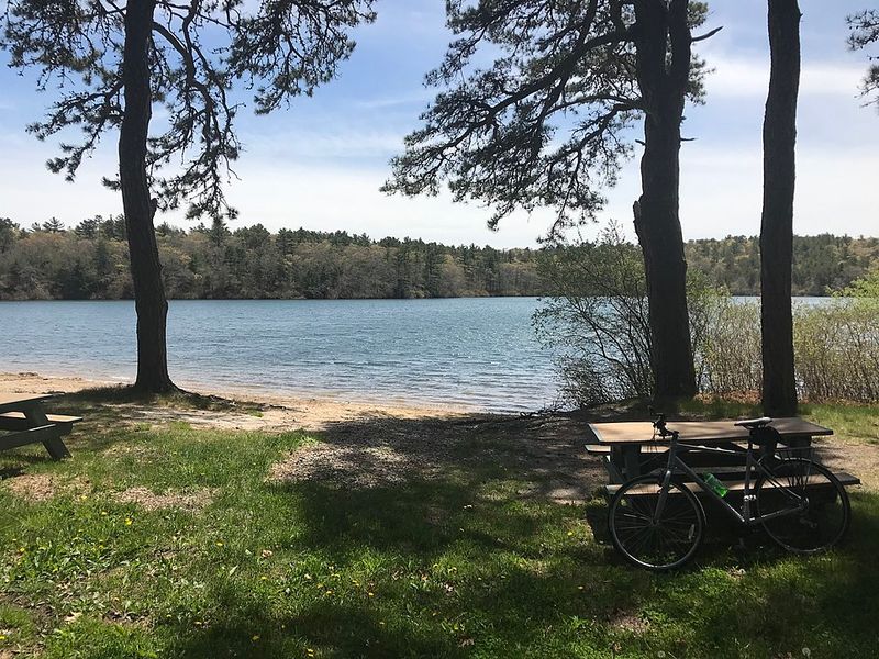 Practical Tips for Travel or Stay