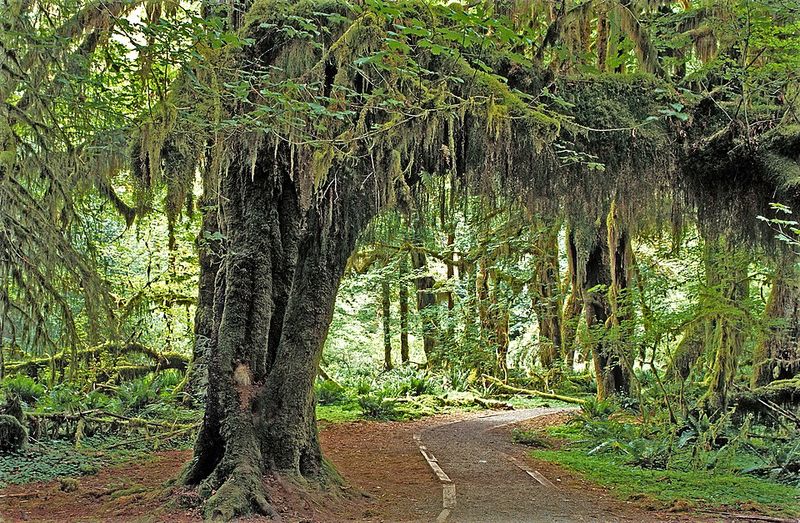 Washington