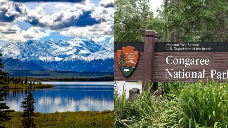 Yellowstone Is America’s Most Famous Park But These 15 Have Fewer Crowds and Better Wildlife