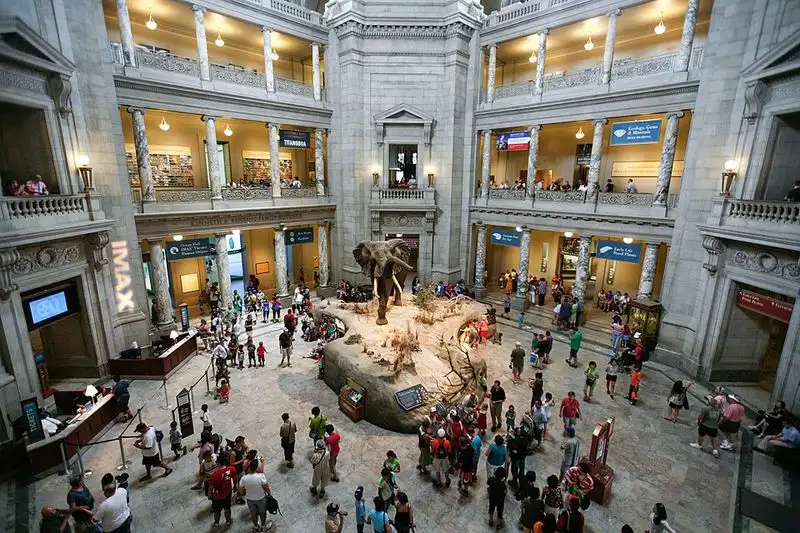 Smithsonian Museums, Washington D.C.