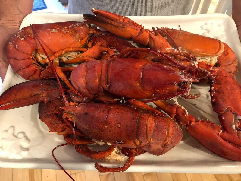 Stonington Lobster Co-op