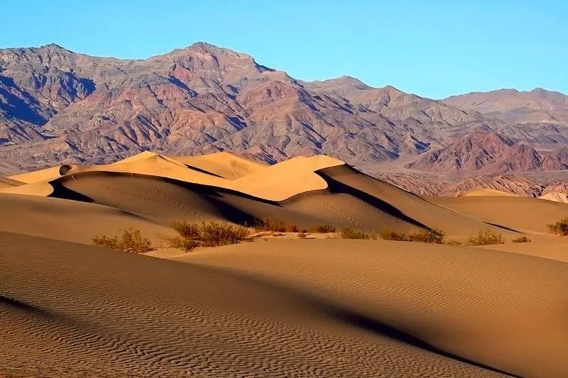 Mesquite Flat Sand Dunes